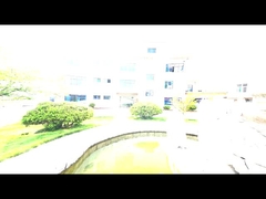 Ventilador de las raíces