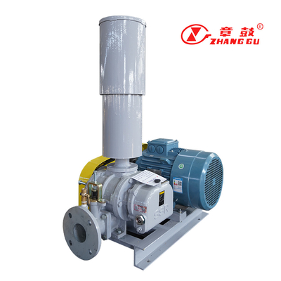 SSR Roots Vacuum Pump Roots Booster Vacuum Pump para procesos críticos para la misión
