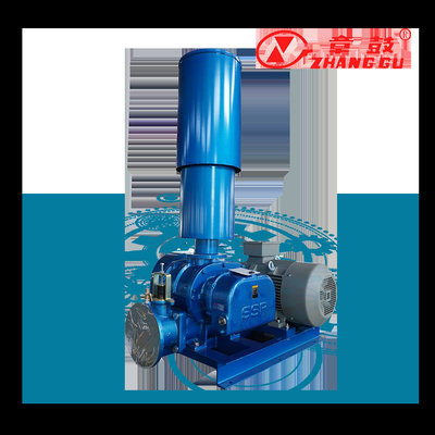 SSR Roots Vacuum Pump Roots Booster Vacuum Pump para procesos críticos para la misión