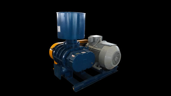 Estructura compacta Acuicultura Roots Blower Aerador Tratamiento de aguas residuales Tres hojas Tri Lobe Roots Blower
